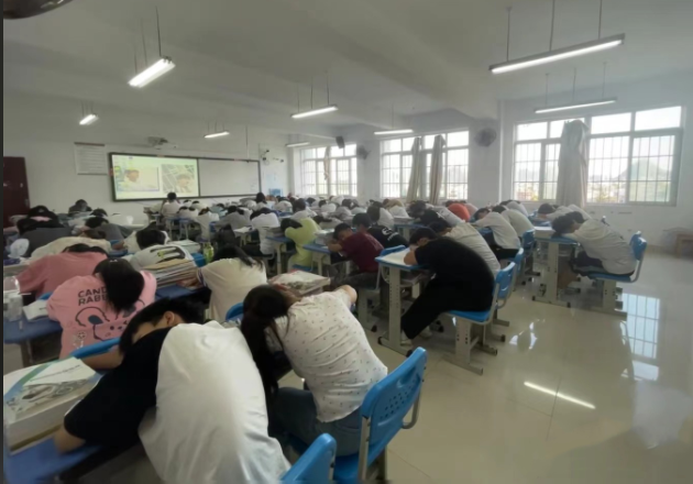 实际操作在内的多样化职业启蒙课程满足不同学生的兴趣需求